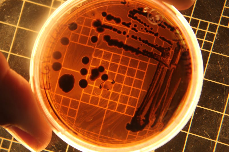Article Image for Intelligent RNA Sequencing Platforms: Precision in Gene Expression