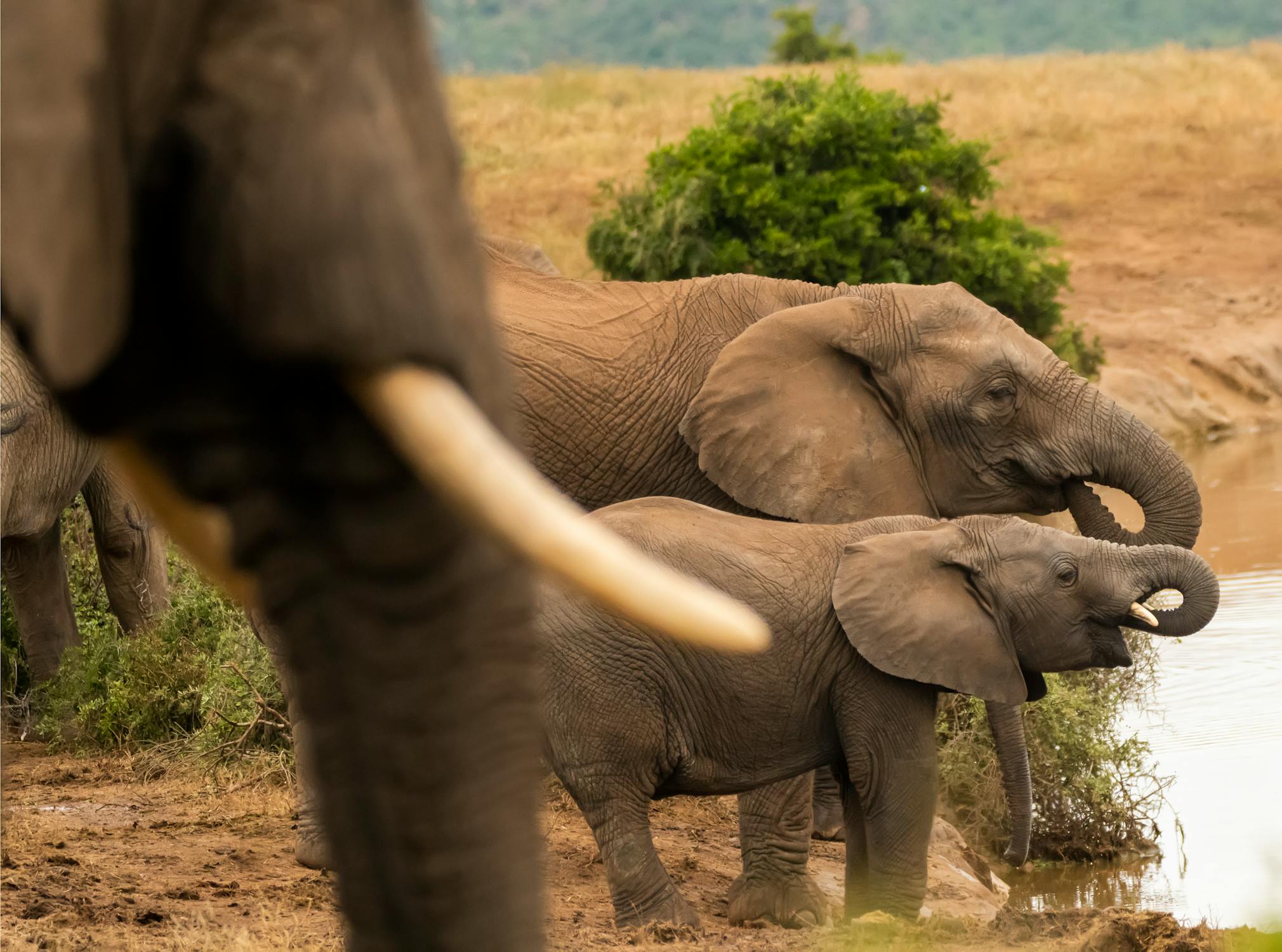 Article Image for Top Adventure Travel for Thrill-Seekers in 2024