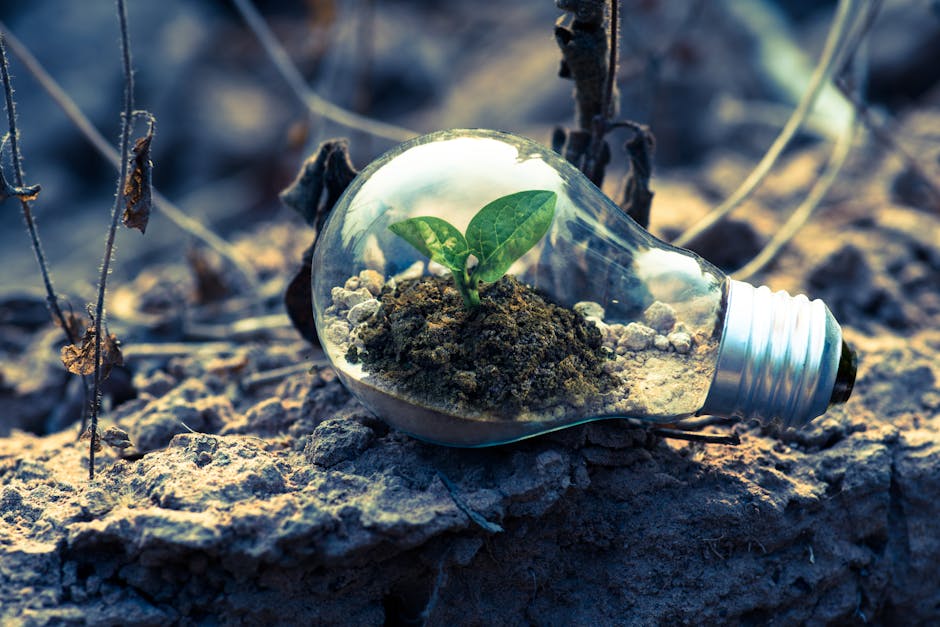 Article Image for Long-Term Environmental & Social Governance Plans: Sustainable Business Strategies