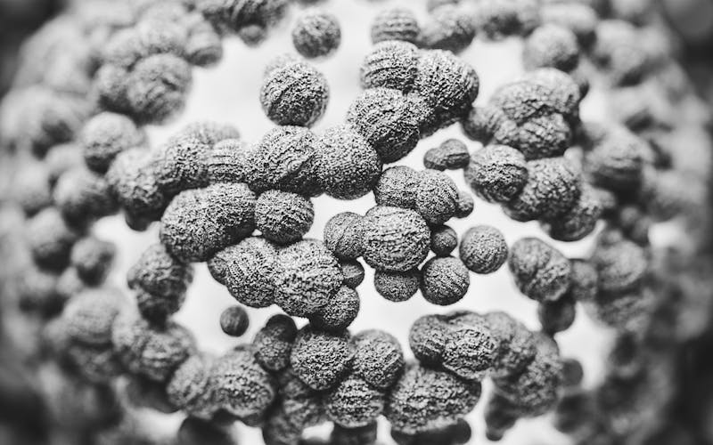 Article Image for Understanding Bispecific Antibodies: Advancements in Targeted Cancer Therapy