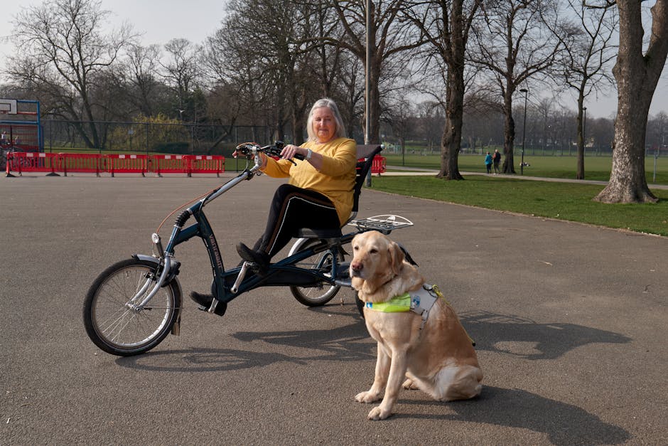 Article Image for Portable Accessibility Devices: Enhance Independent Living for Seniors