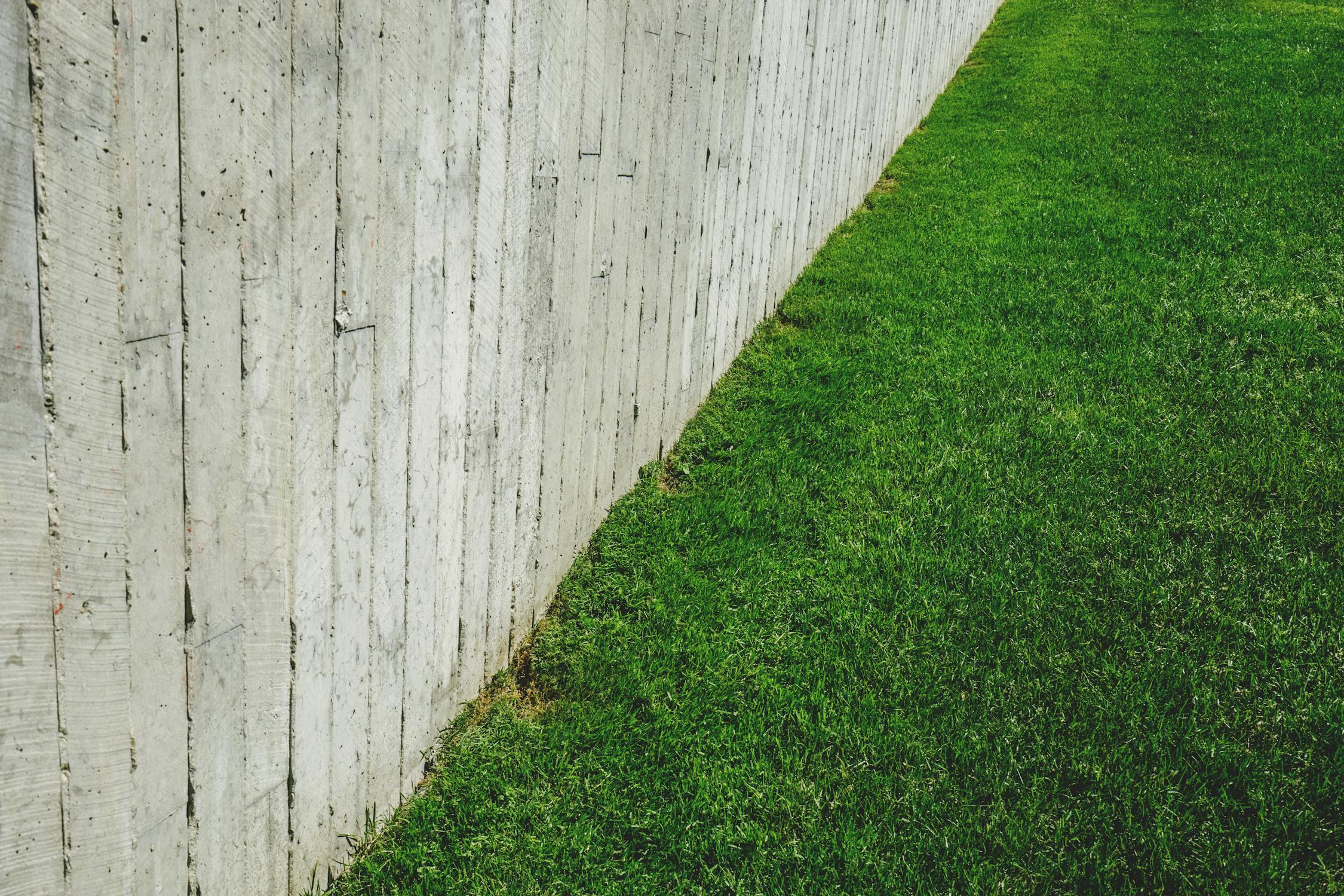 Article Image for Affordable backyard fence installation near me with financing options