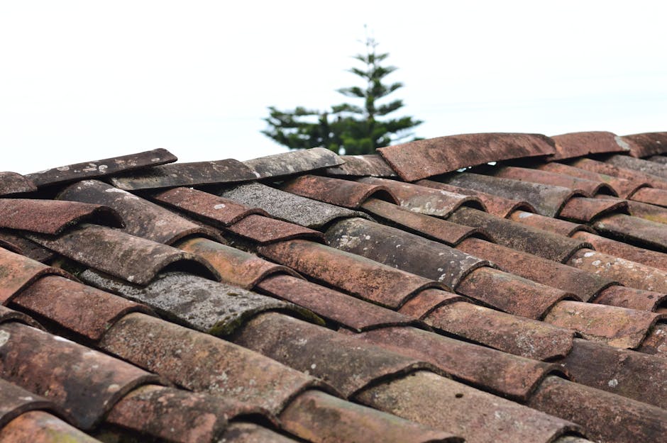 Article Image for Tile Roof Repair Fees: Transparent Cost Breakdown