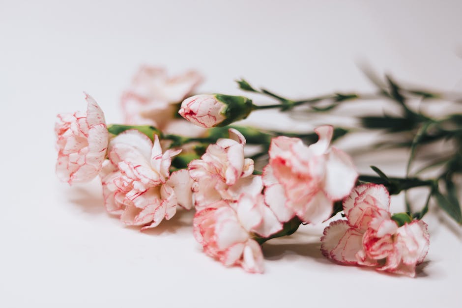 Article Image for Valentine’s Day Flower Delivery Services: Fresh Blooms on Time