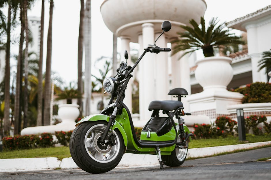 Article Image for Budget-Friendly Electric Cars: Affordable Options for Every Driver