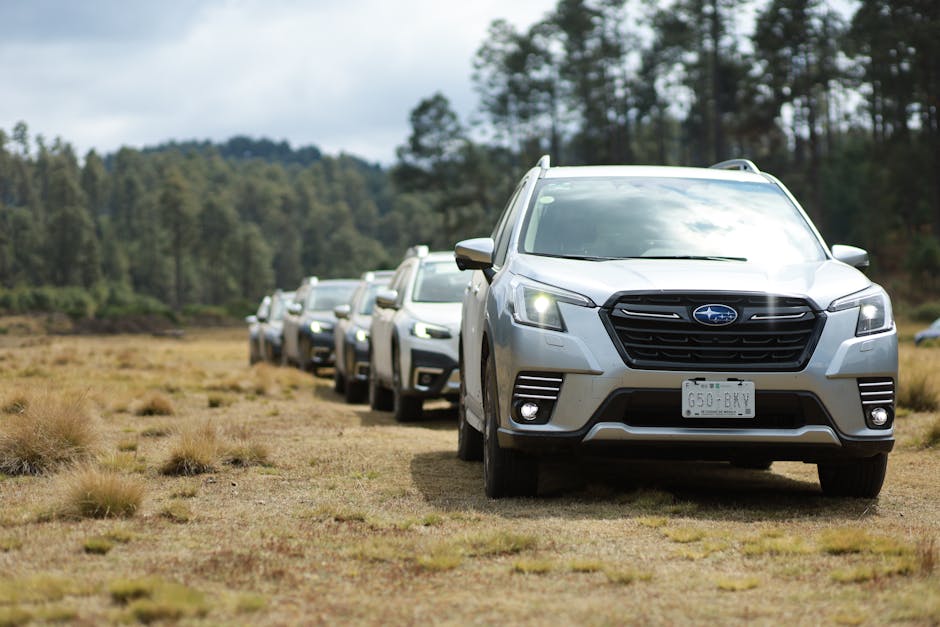 Article Image for Top SUV Cars of 2024: Performance, Safety, and Comfort Compared
