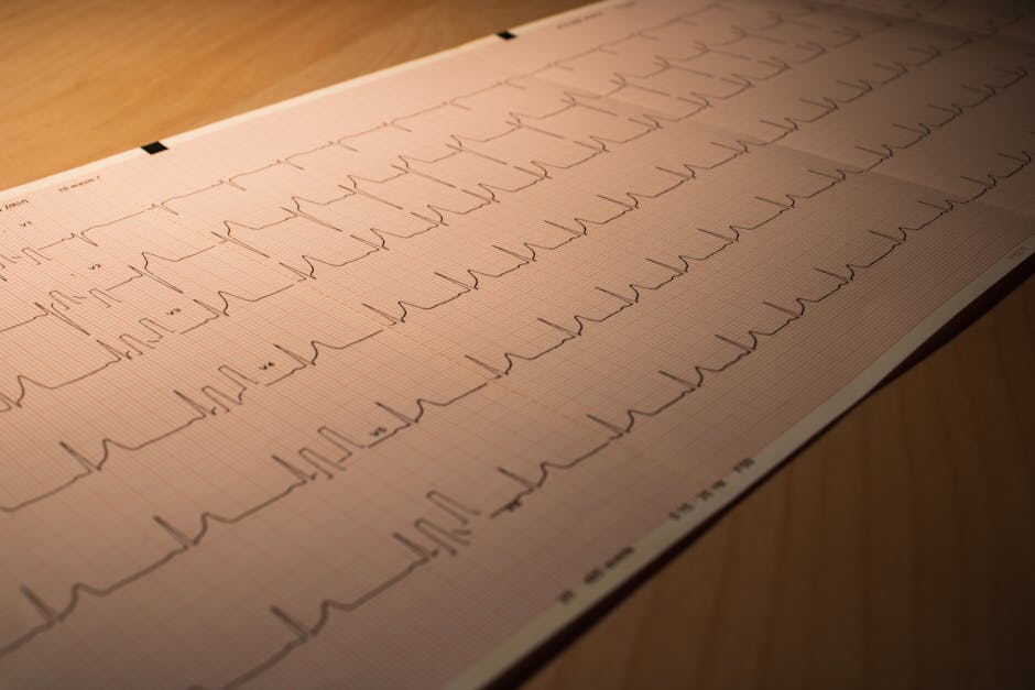 Article Image for Tools for Protecting Sensitive Information at No Cost: Free Security Resources