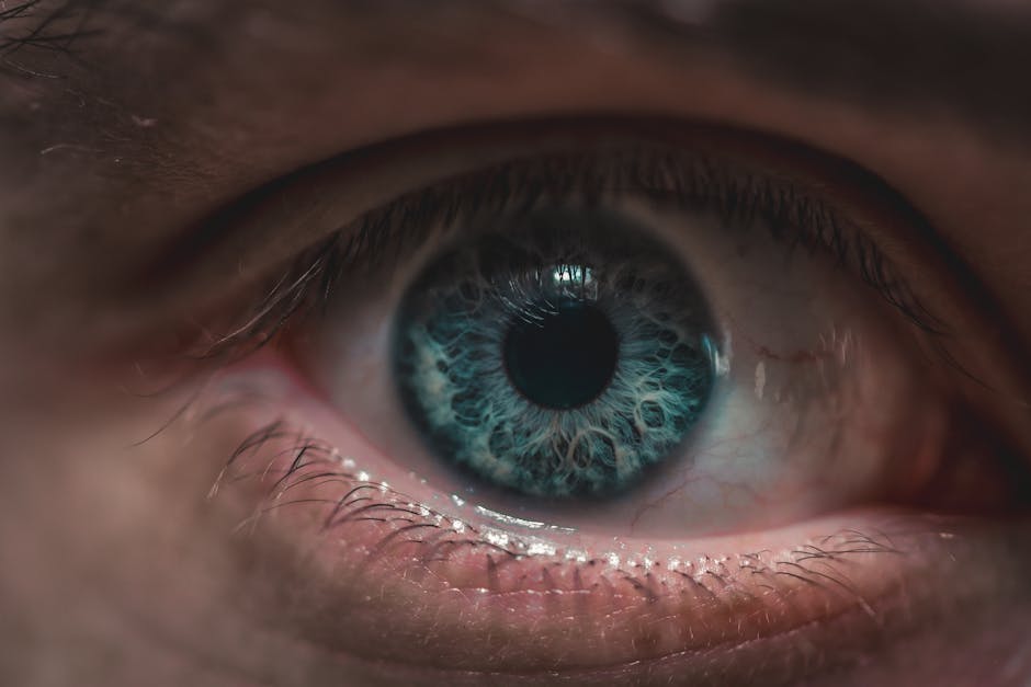 Article Image for American Best Eye Doctor: How to Choose the Right Specialist for Your Vision Needs