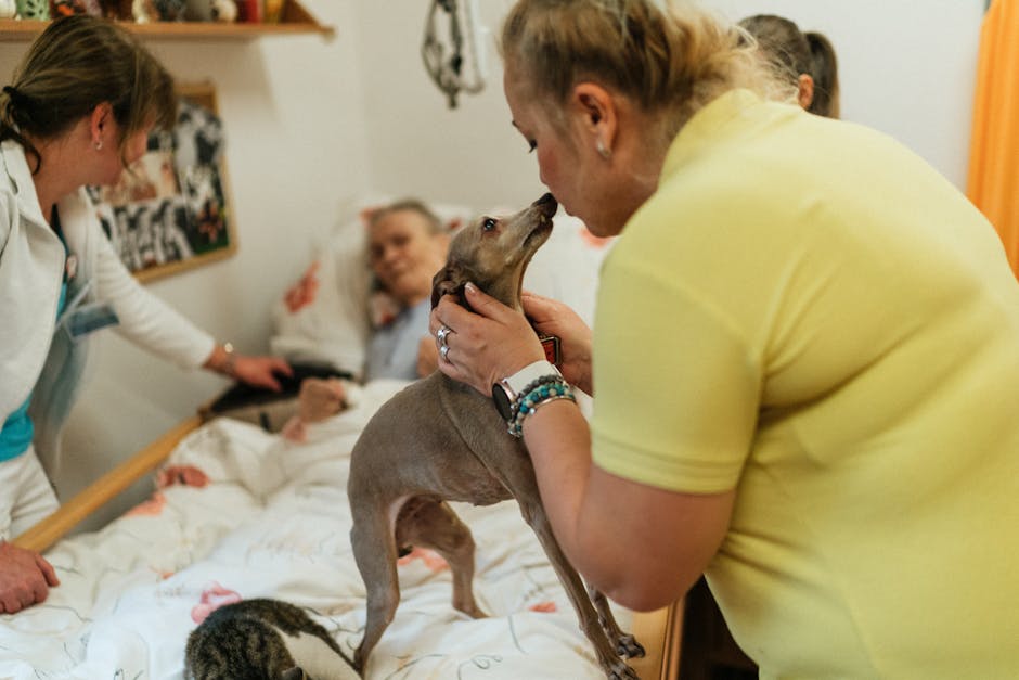Article Image for Assisted Living Facilities A Guide for Families