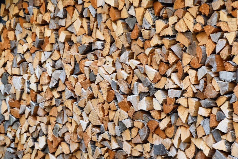 Article Image for Firewood What You Need to Know