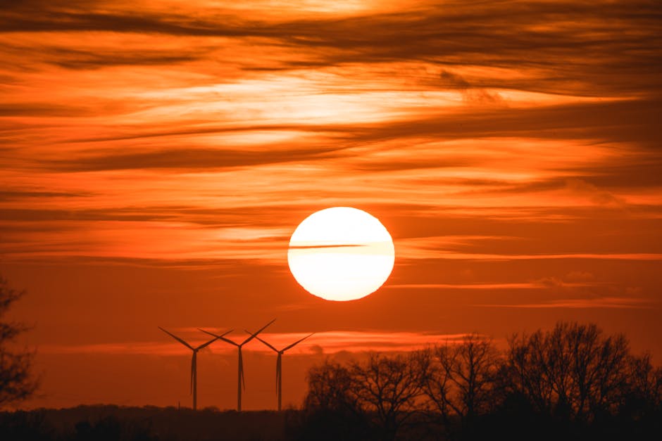 Article Image for Top Solar Power Companies for Sustainable Energy