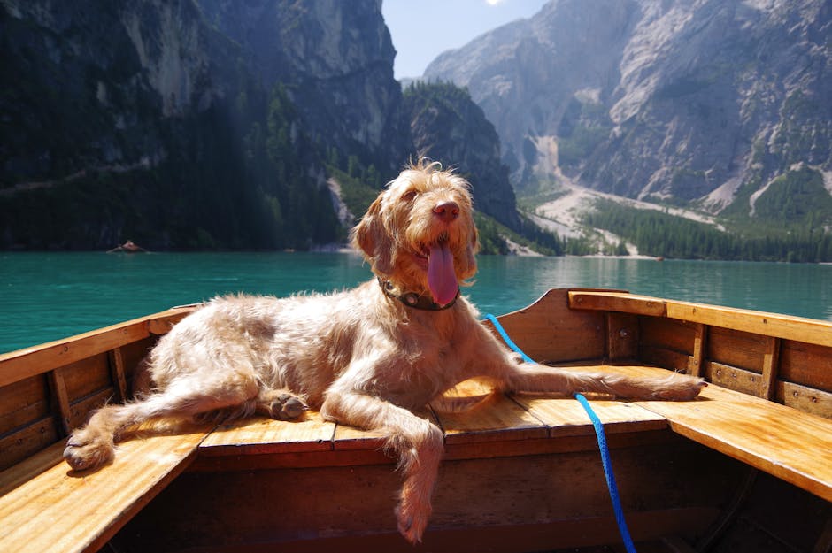 Article Image for The Ultimate Guide to Being a Pet Sitter