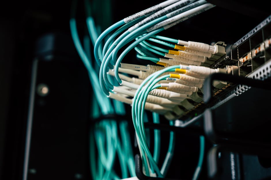 Article Image for Intelligent Cloud Data Storage Systems: Modern and Reliable