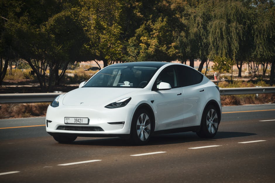 Article Image for Tesla Model Y Deals