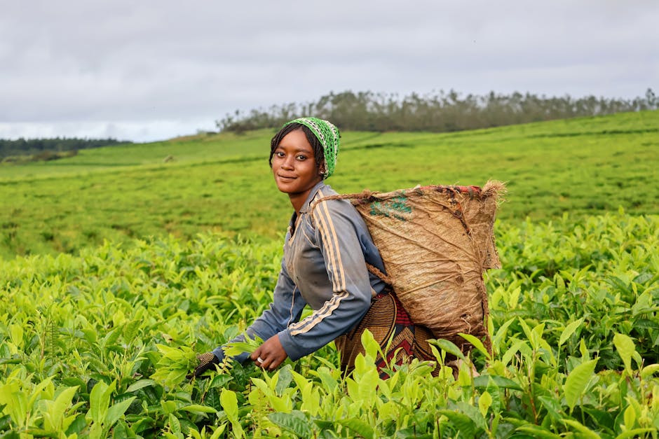 Article Image for ESG Compliance Tools: Ensure Ethical and Sustainable Practices