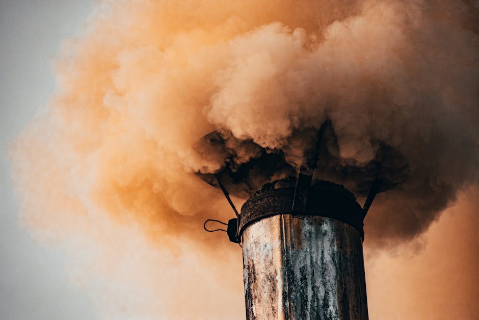 Article Image for Environmental Risk Analysis Tools in South Africa: Assess Your Impact