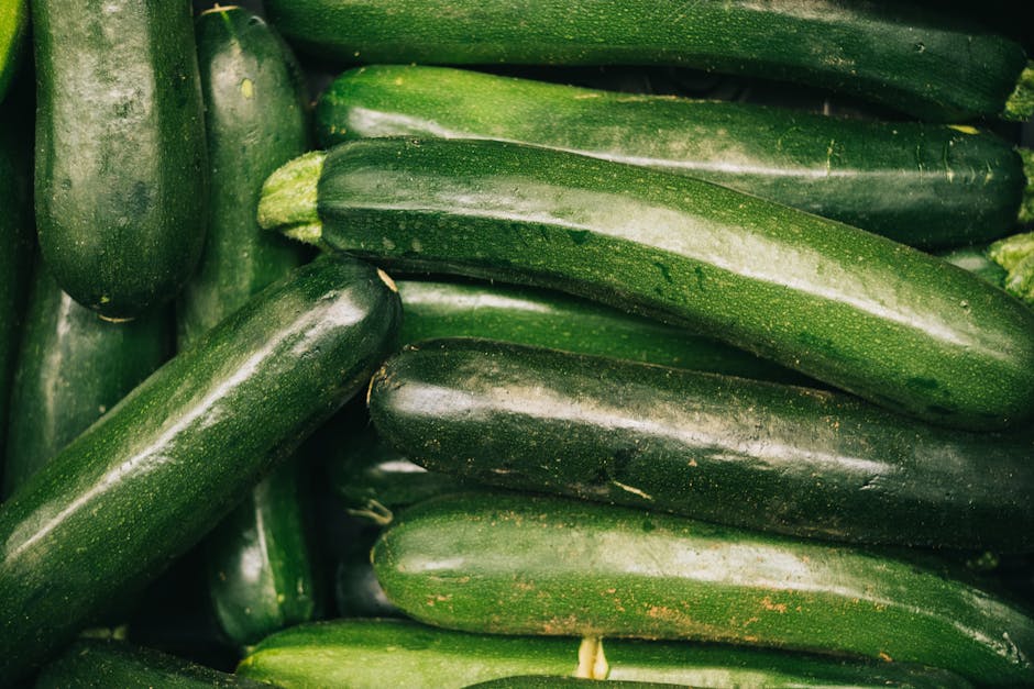 Article Image for Low-Carb Diet Programs: Effective Plans for Reducing Carbohydrates