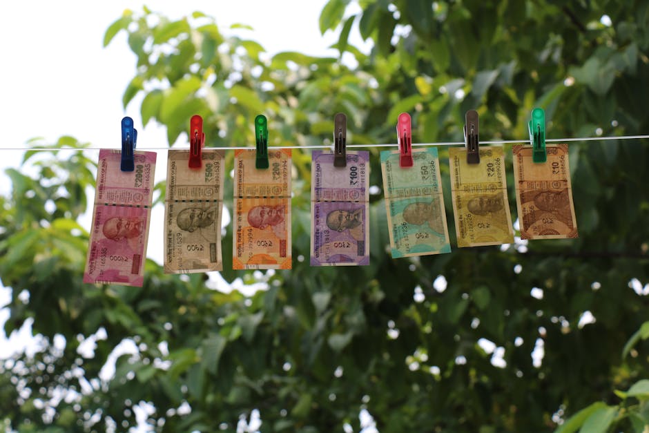 Article Image for Anti-Money Laundering Platforms: Ensure Financial Regulatory Compliance