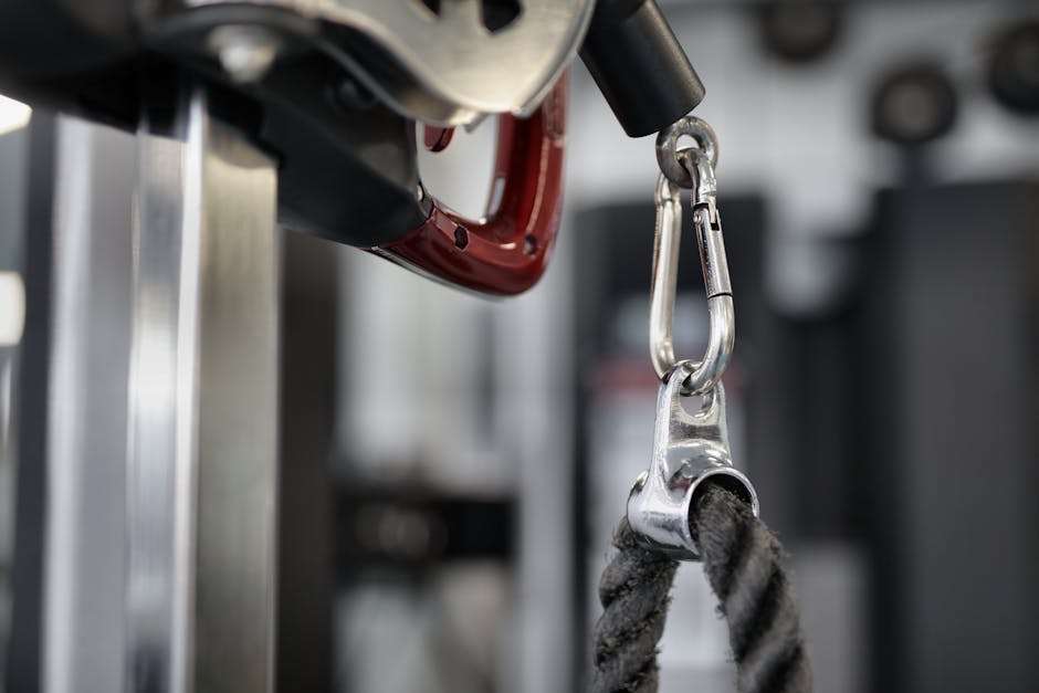Article Image for Secure Chrome Download Platforms: Reliable Sources for Chrome