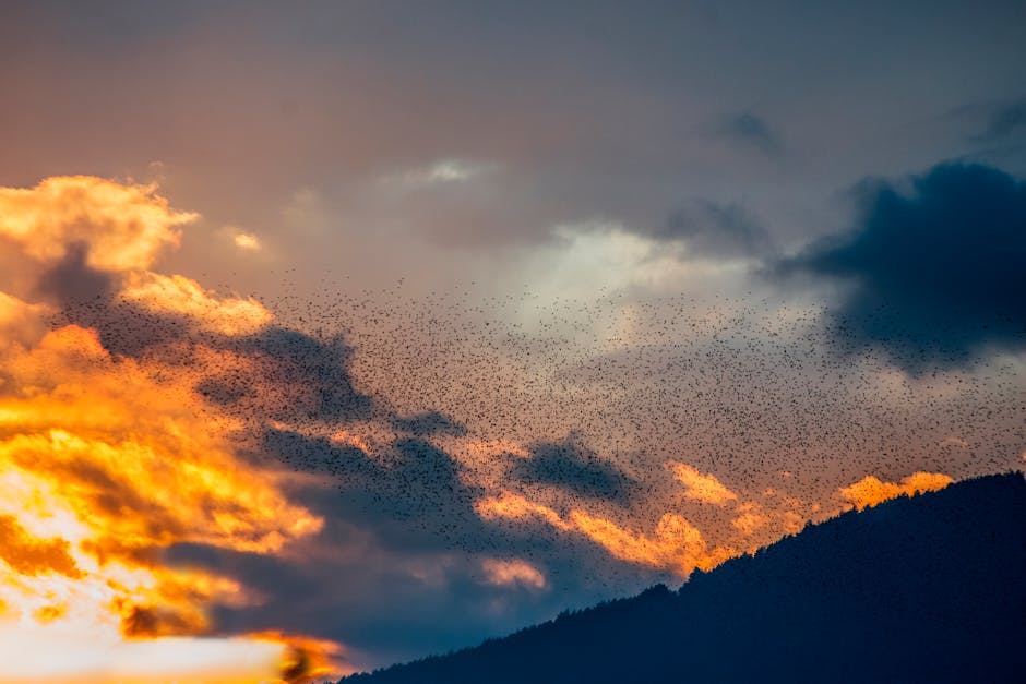 Article Image for Easy Cloud Migration Platforms: Simplify Your Data Transition