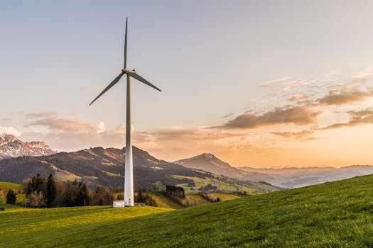 Article Image for Eco-Risk Management Systems: Sustainable Environmental Protection