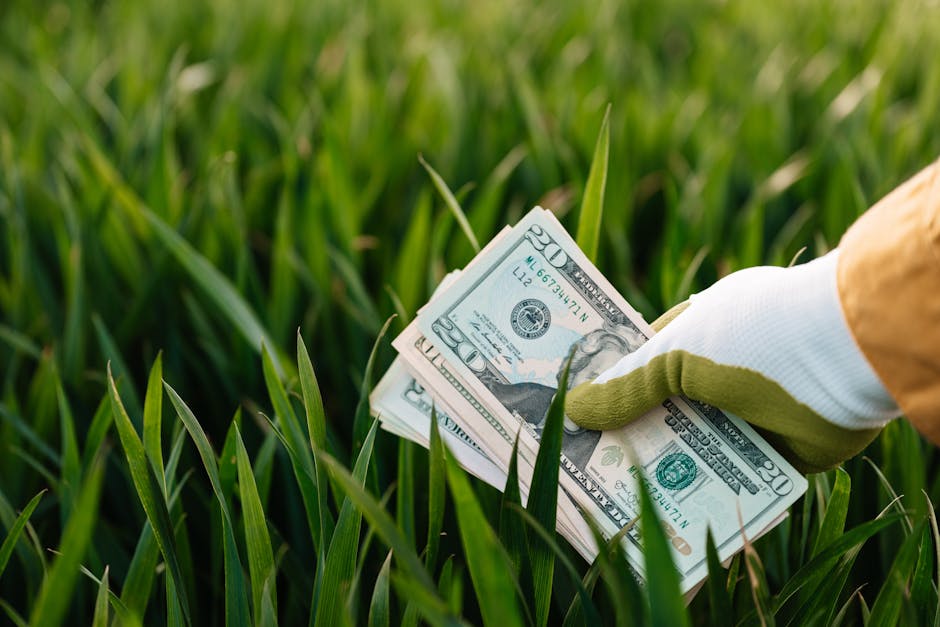 Article Image for ESG Investment Strategies: Invest in a Greener Future