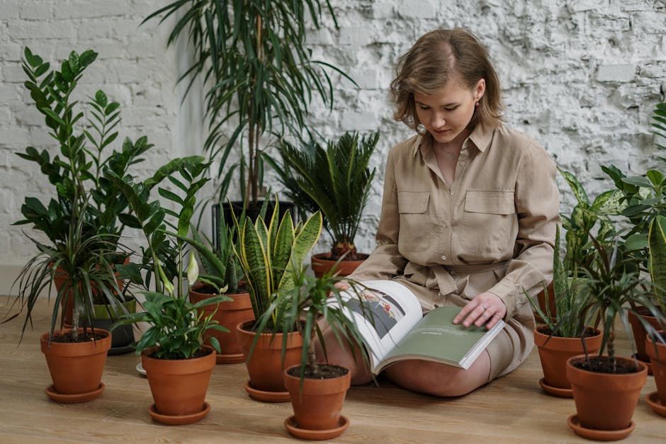 Article Image for Free Bookkeeping Tools for Startups: Essential Financial Software