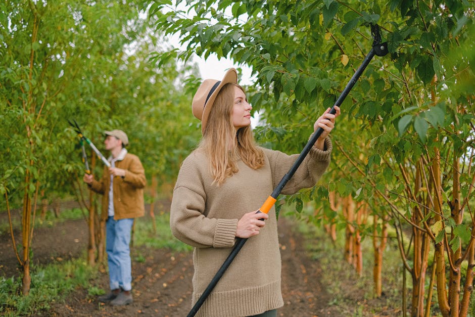 Article Image for Sustainable Investing Tools: Make Responsible Investment Decisions