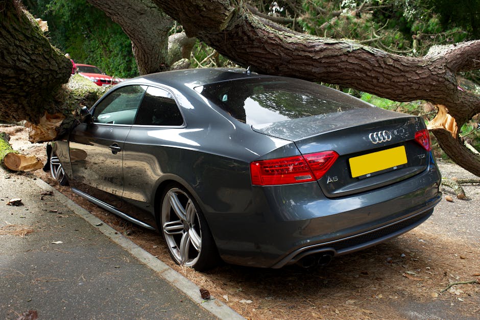 Article Image for Premium car insurance - budget discounts and affordable auto coverage plans explained