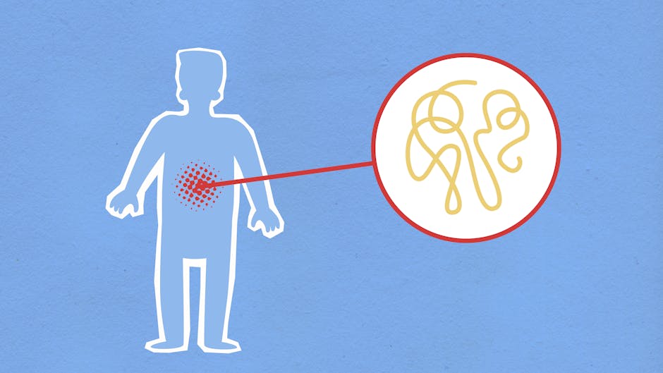 Article Image for Digestive Enzymes Key Players in a Healthy Digestive System