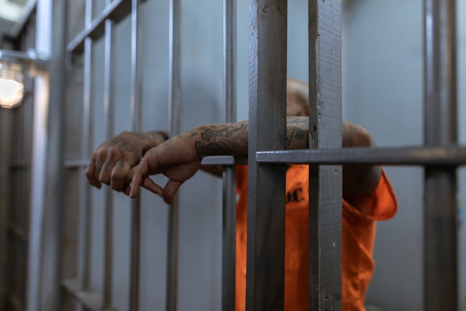 Article Image for Top Criminal Justice Master’s Programs Online