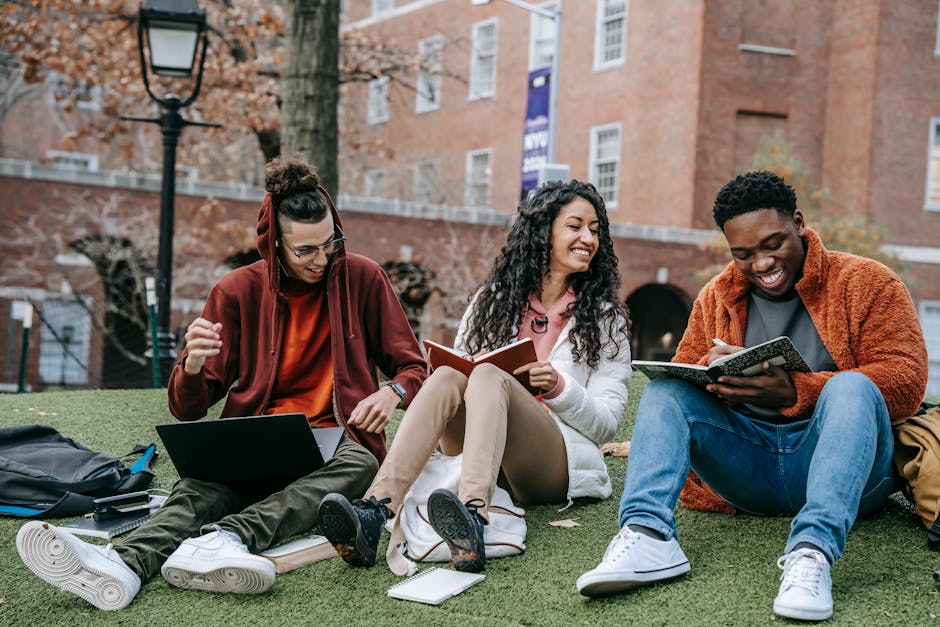 Article Image for General Degree Programs: Broad Educational Opportunities for All