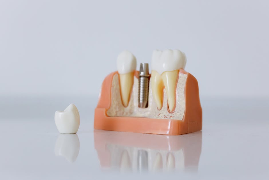 Article Image for Dental