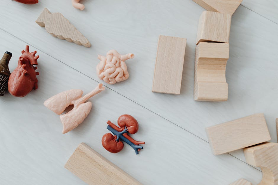 Article Image for Understanding Kidney Diseases