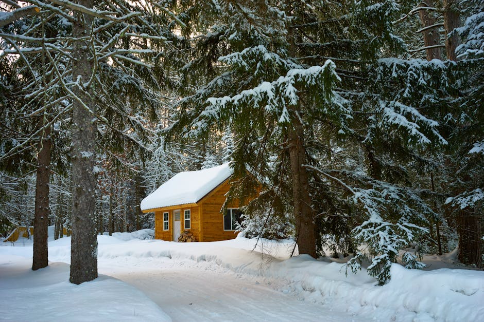 Article Image for Best Insulated Windows for Minnesota Winters: Stay Warm and Save Energy