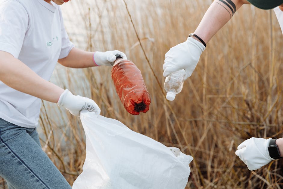 Article Image for Green Initiatives for Companies: Embrace Sustainability Today