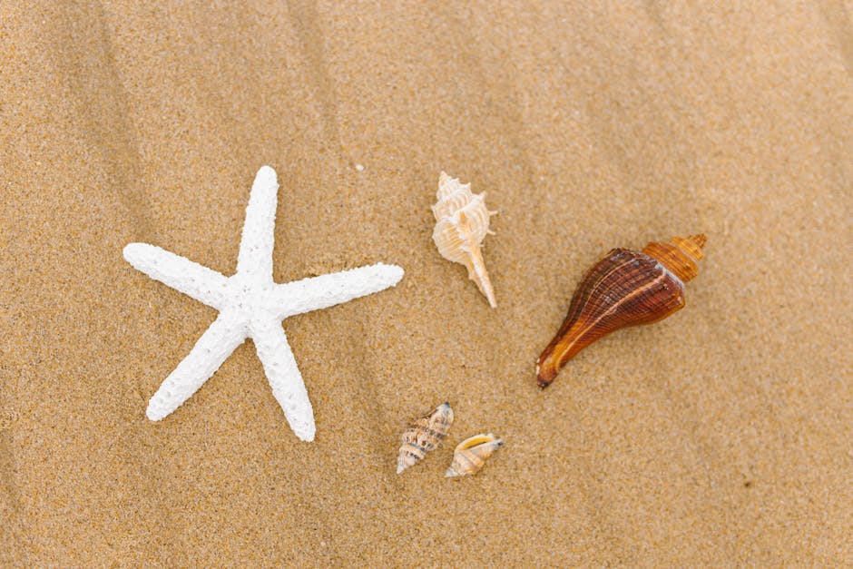 Article Image for Budget-Friendly Beach Vacations: Enjoy the Sun and Sand Without Breaking the Bank