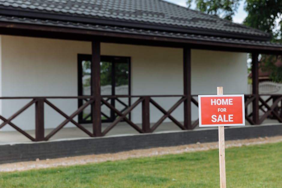 Article Image for High-Quality and Low-Priced Single-Story Homes by Tamahome: Smart Investment Options